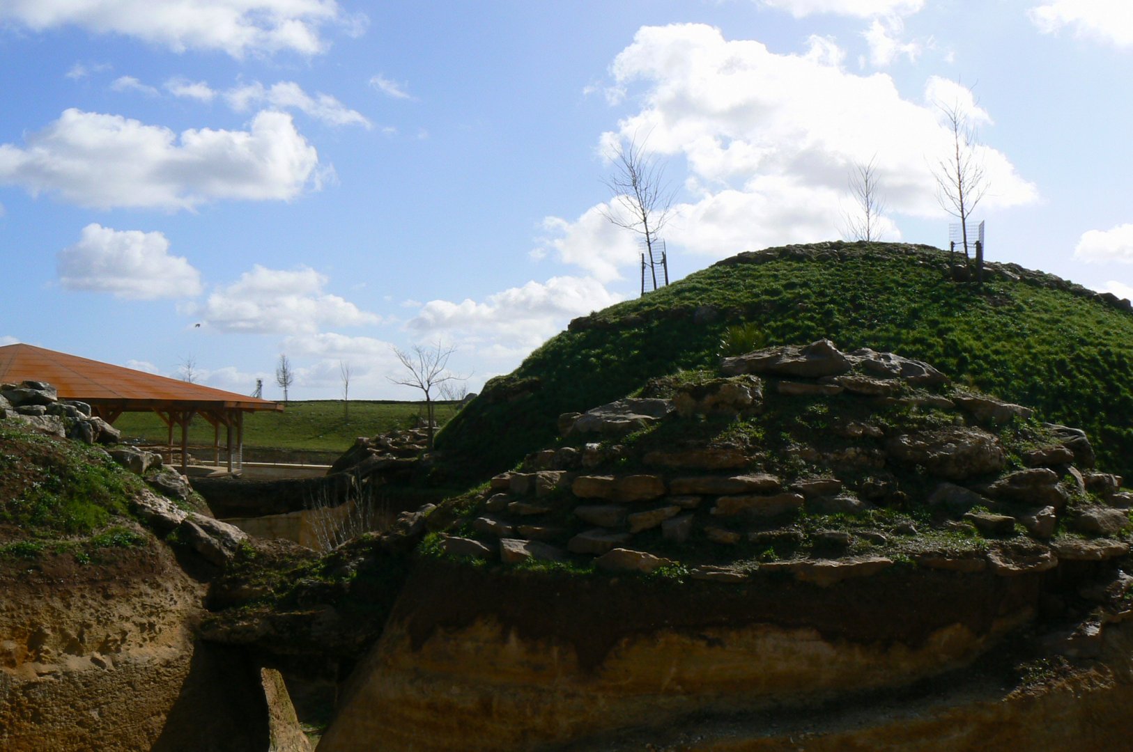 New carnivores crater - new african lion exhibit