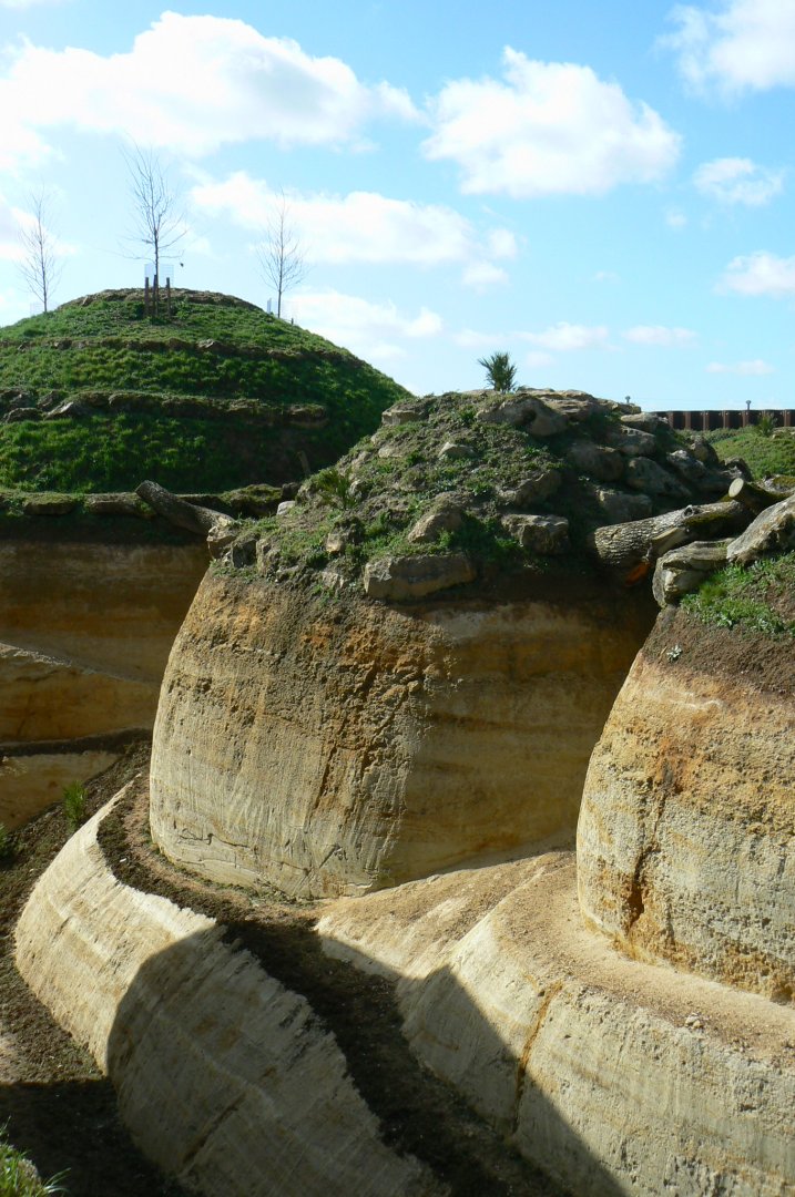New carnivores crater - new african lion exhibit