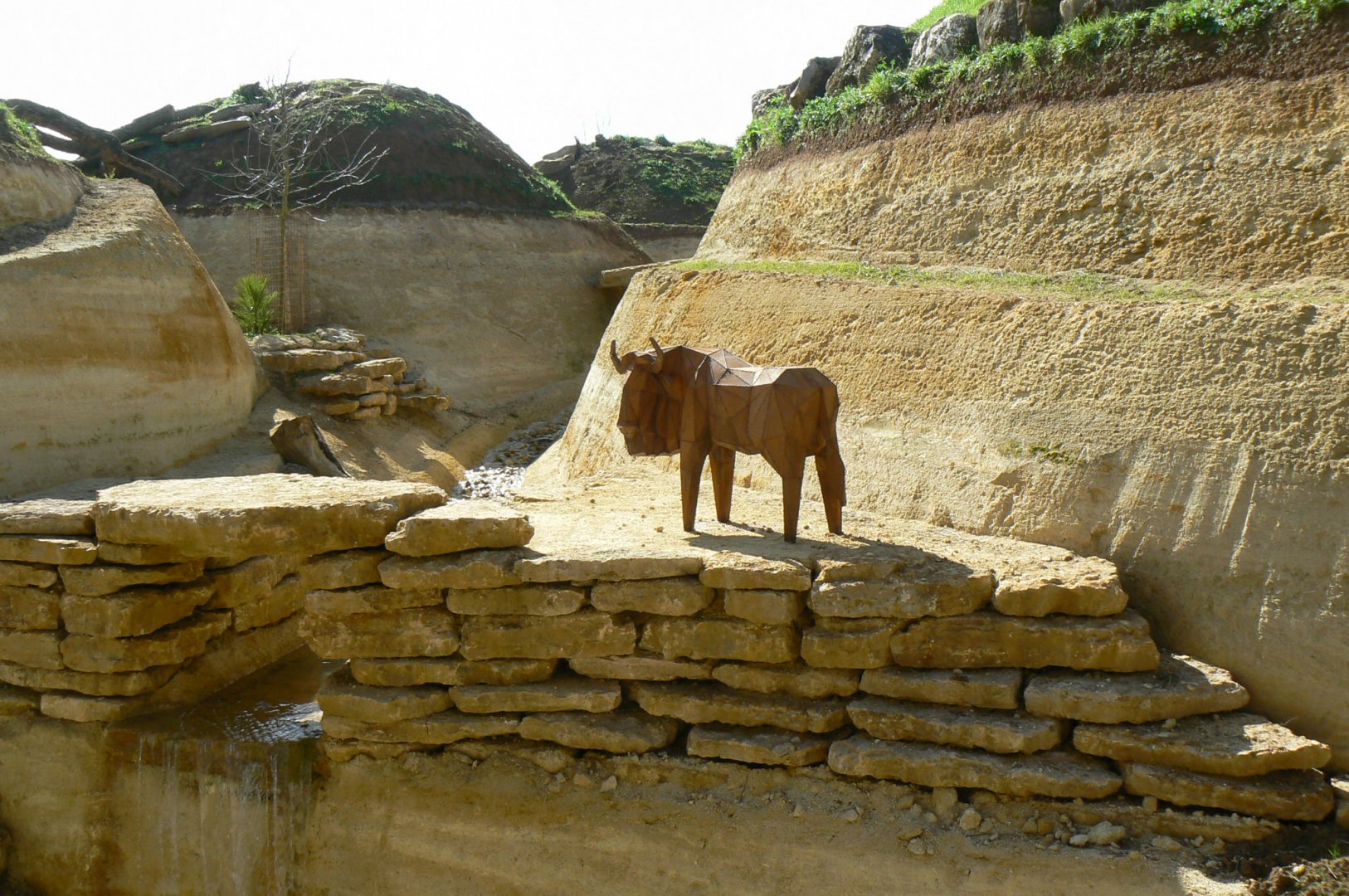 New carnivores crater - new african lion exhibit