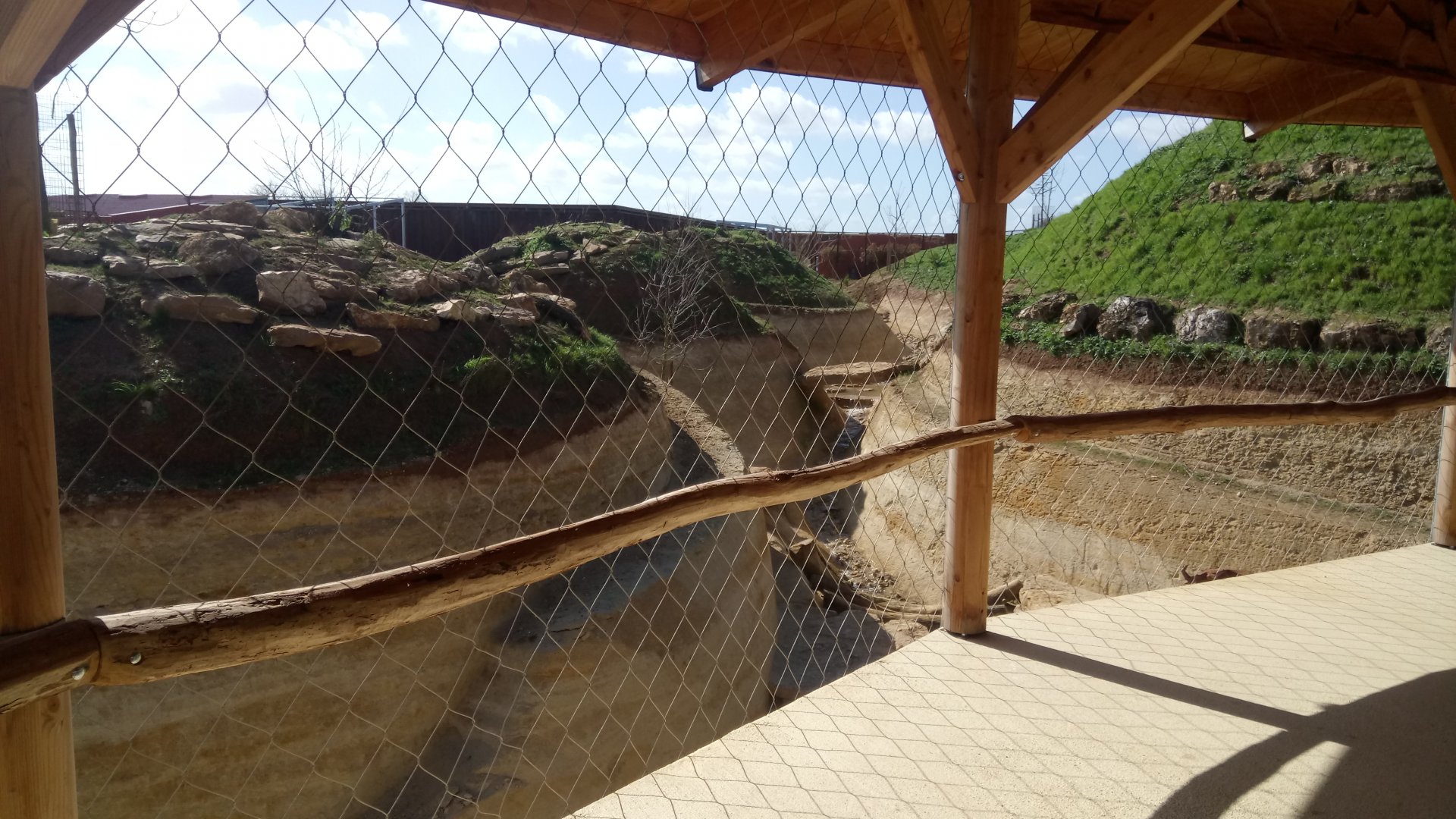 New carnivores crater - New african lions exhibit