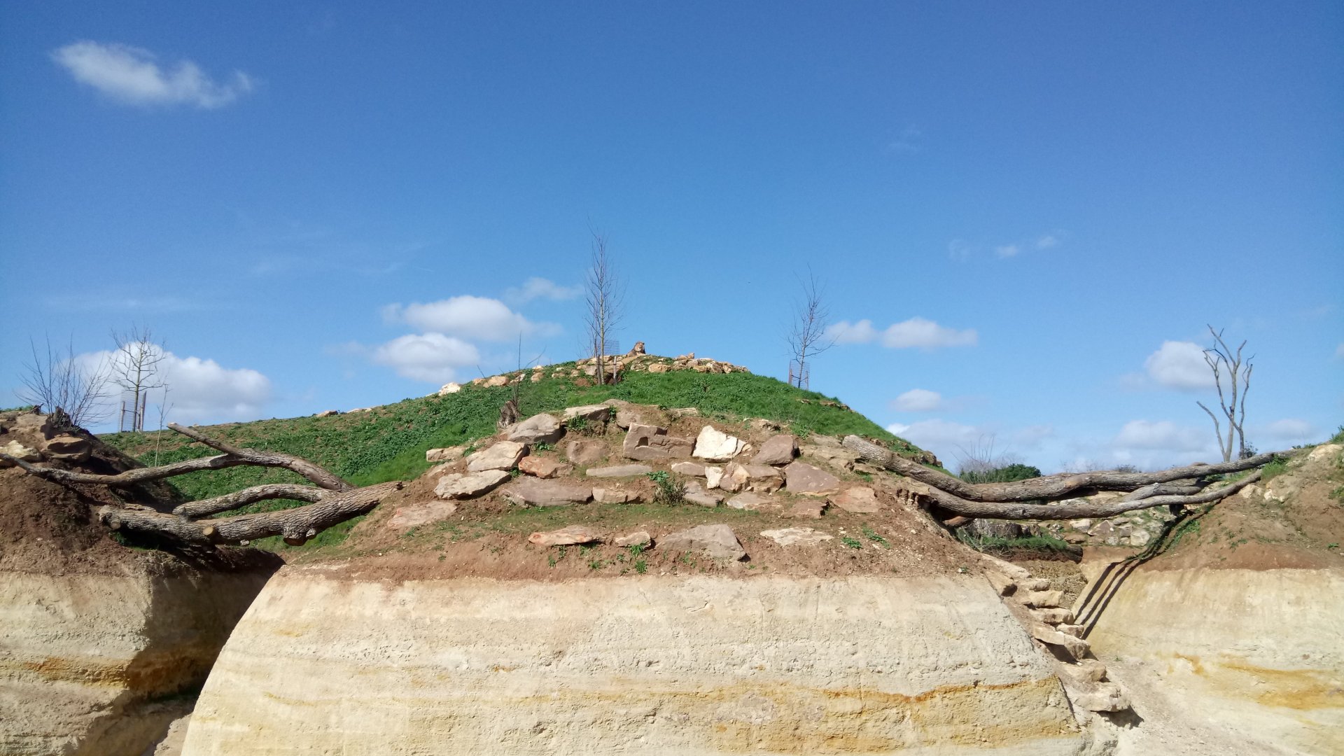 New carnivores crater - New african lions exhibit