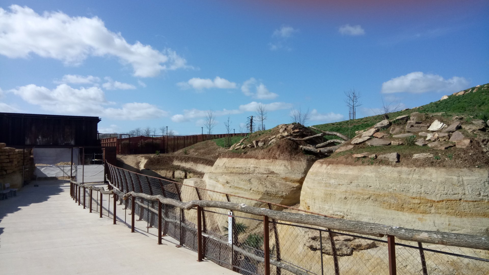 New carnivores crater - New african lions exhibit