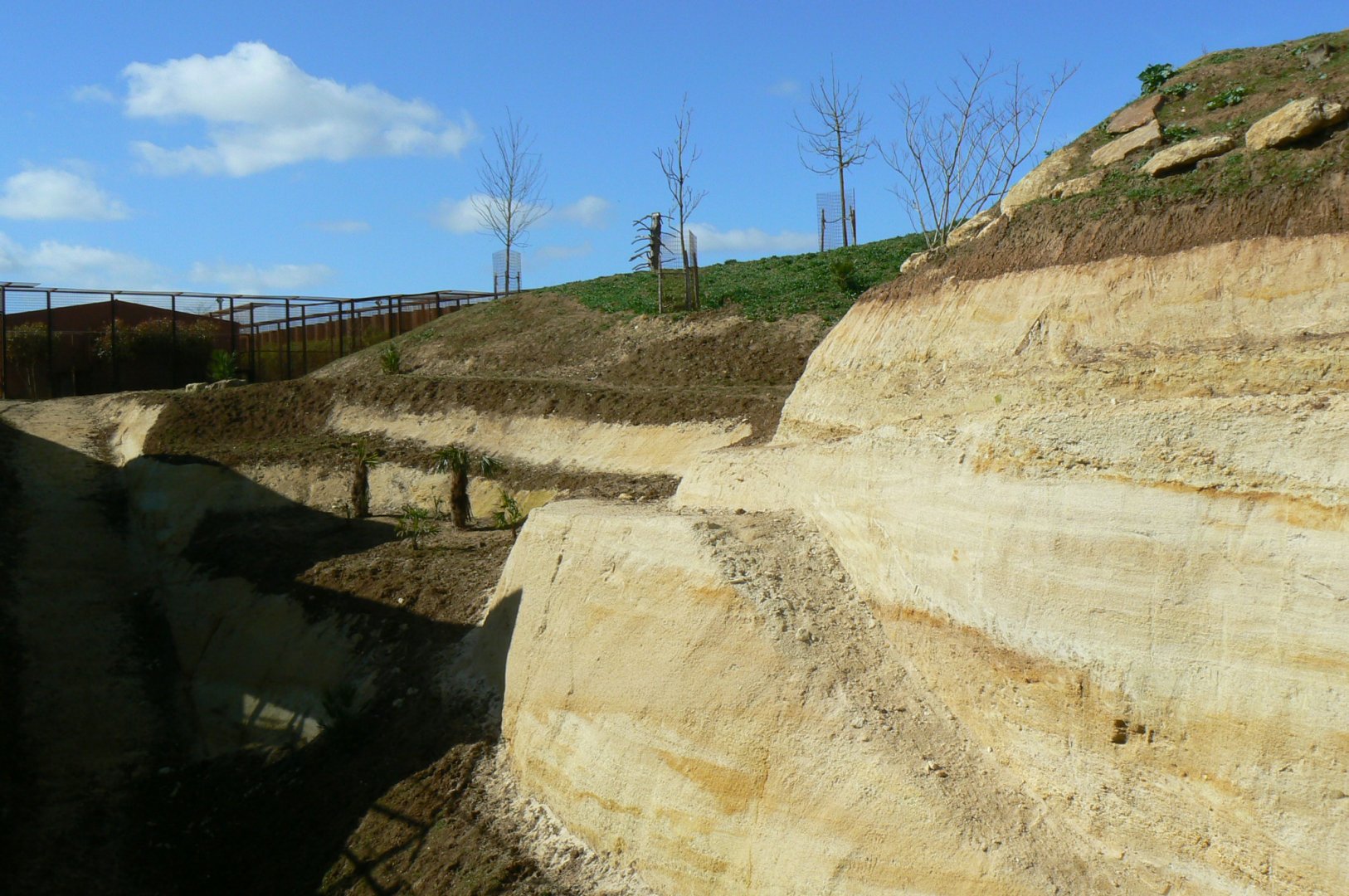 New carnivores crater - New african lions exhibit