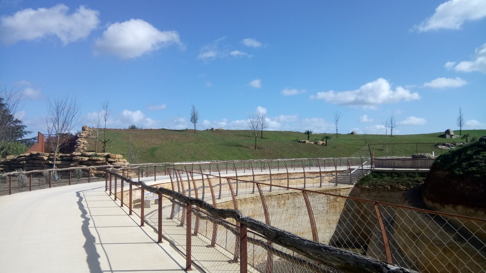 New carnivores crater - Part of the african lions enclosure on the right and part of the cheetahs enclosure in the back