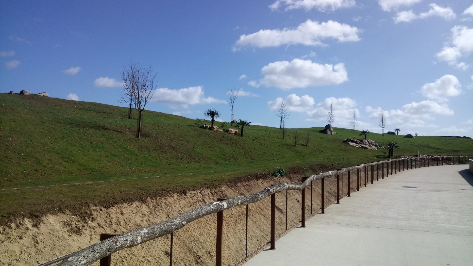 New carnivores crater - part of the new cheetahs enclosure