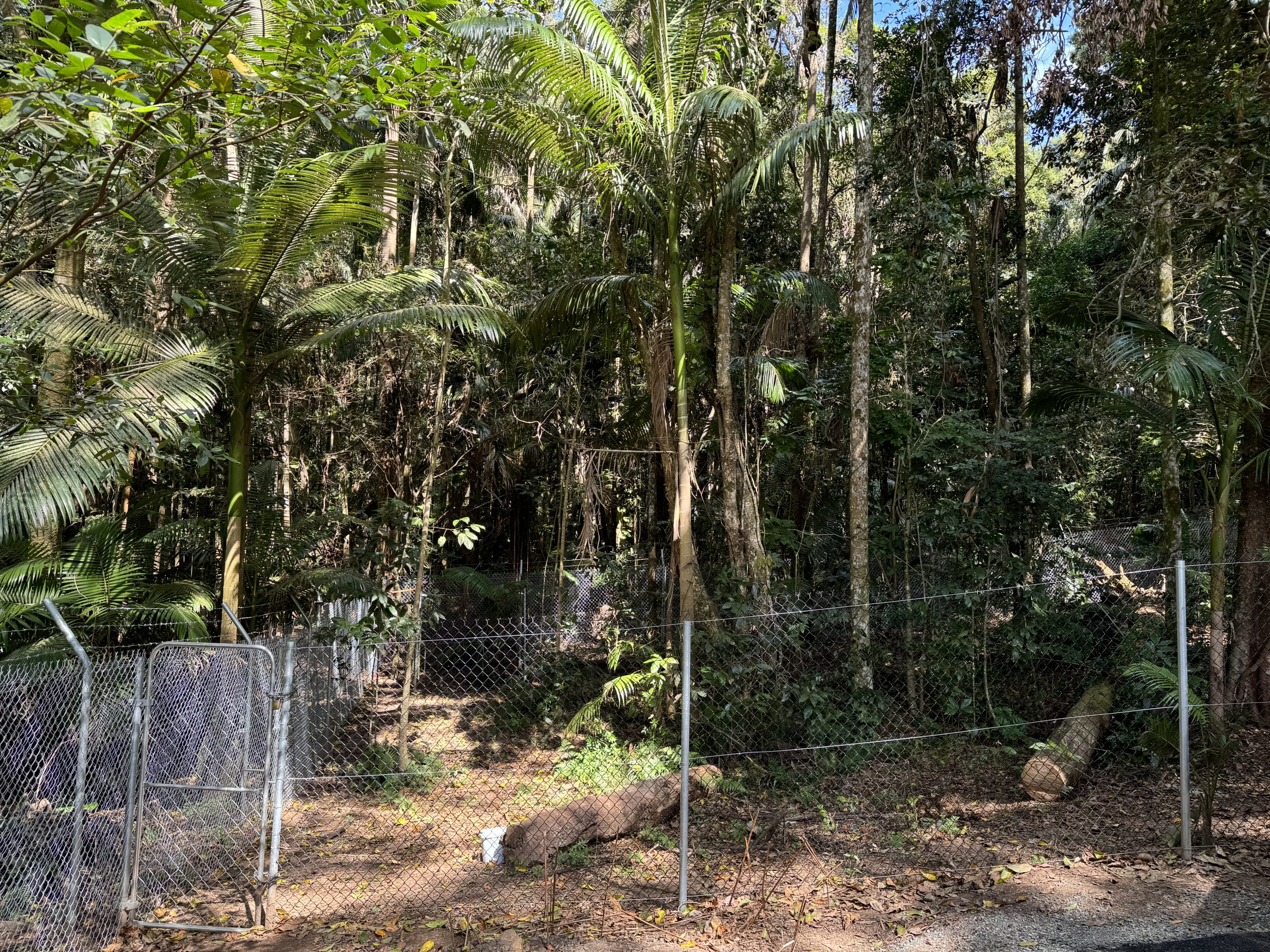 New cassowary enclosure