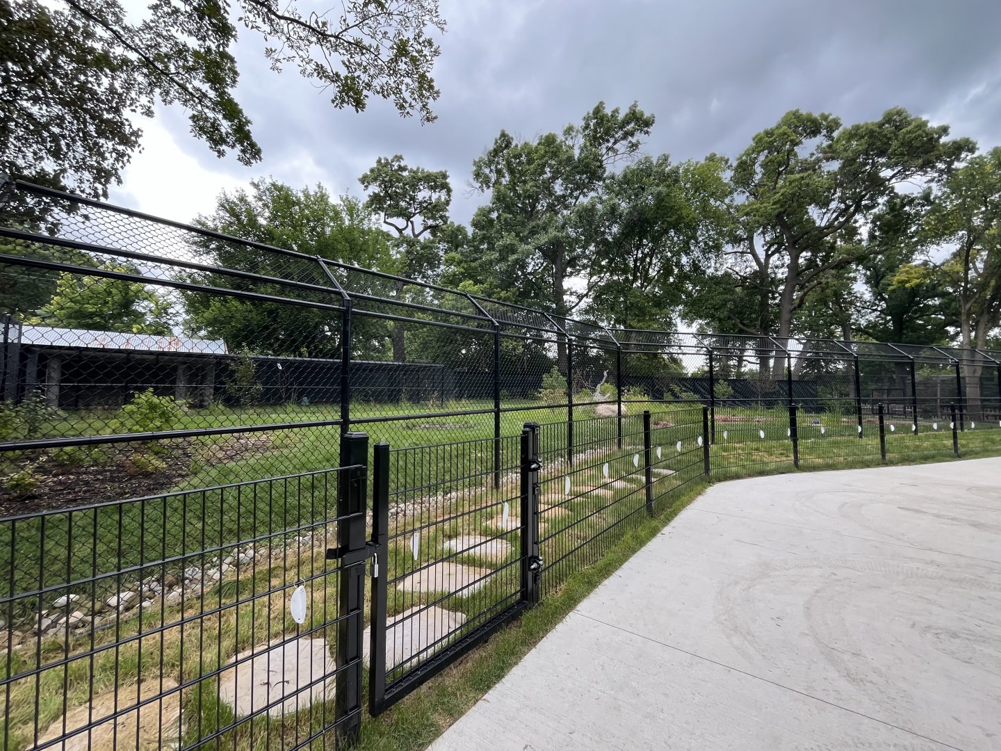 New Cassowary Habitat