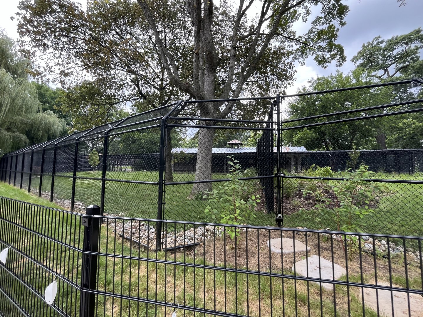 New Cassowary Habitat