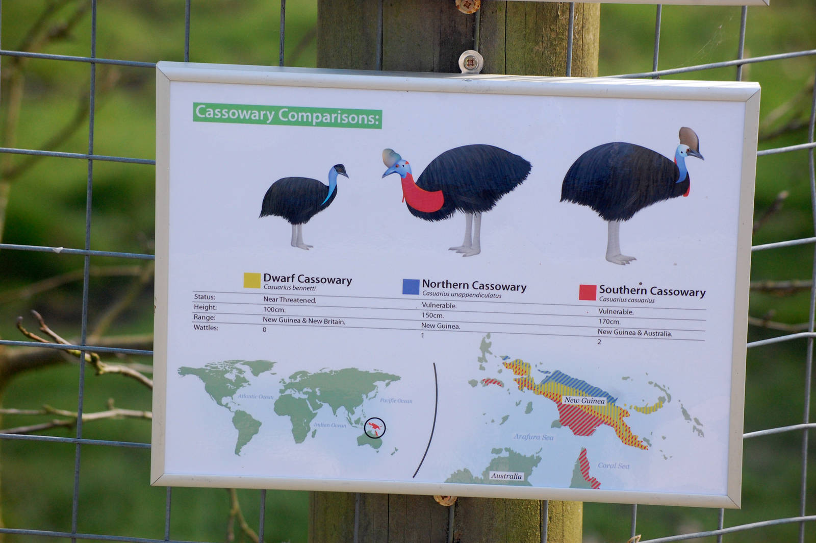 New Cassowary Sign