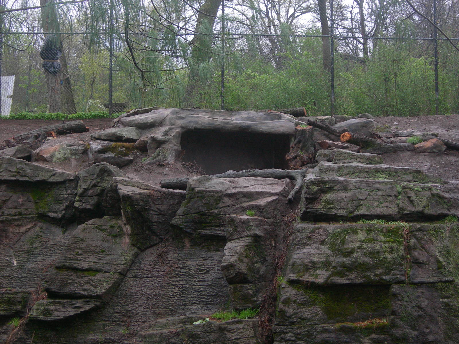 New cave in Amur Tiger Exhibit