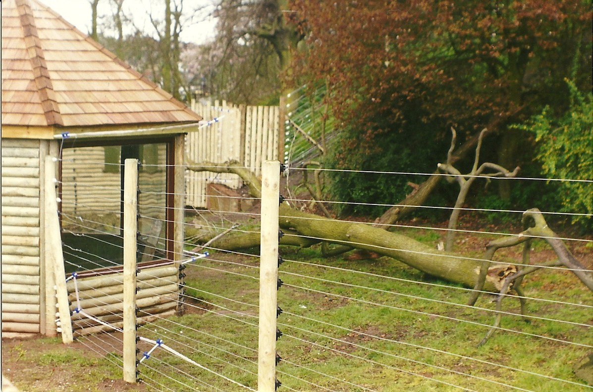 New Celebes Black Ape exhibit 4th April 1998