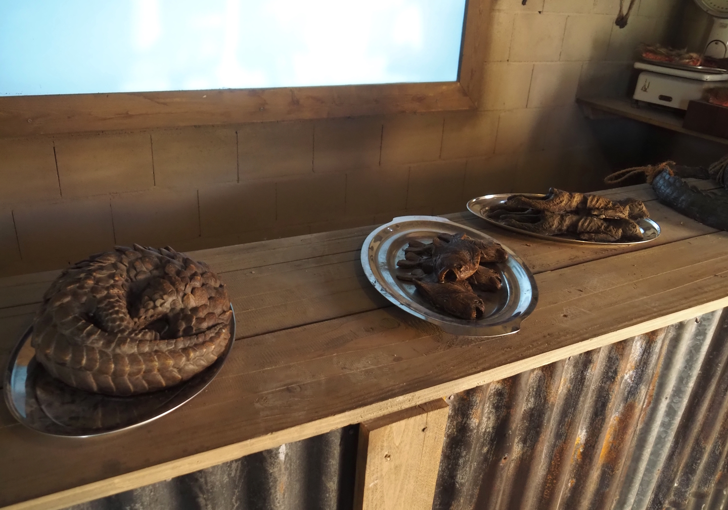 New Central African area Ngyuwe - Bushmeat shop theming, 2025-08-03