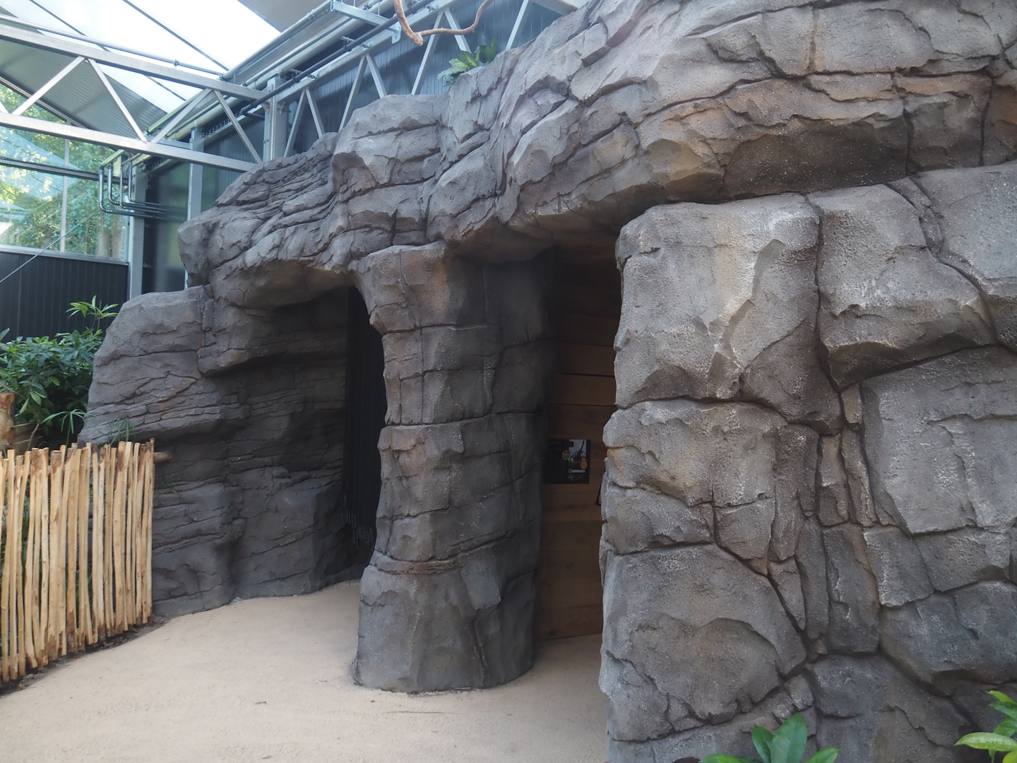 New Central African area Ngyuwe - Cave with nocturnal exhibit and scorpion terrarium in the pygmy hippo greenhouse, 2025-08-03