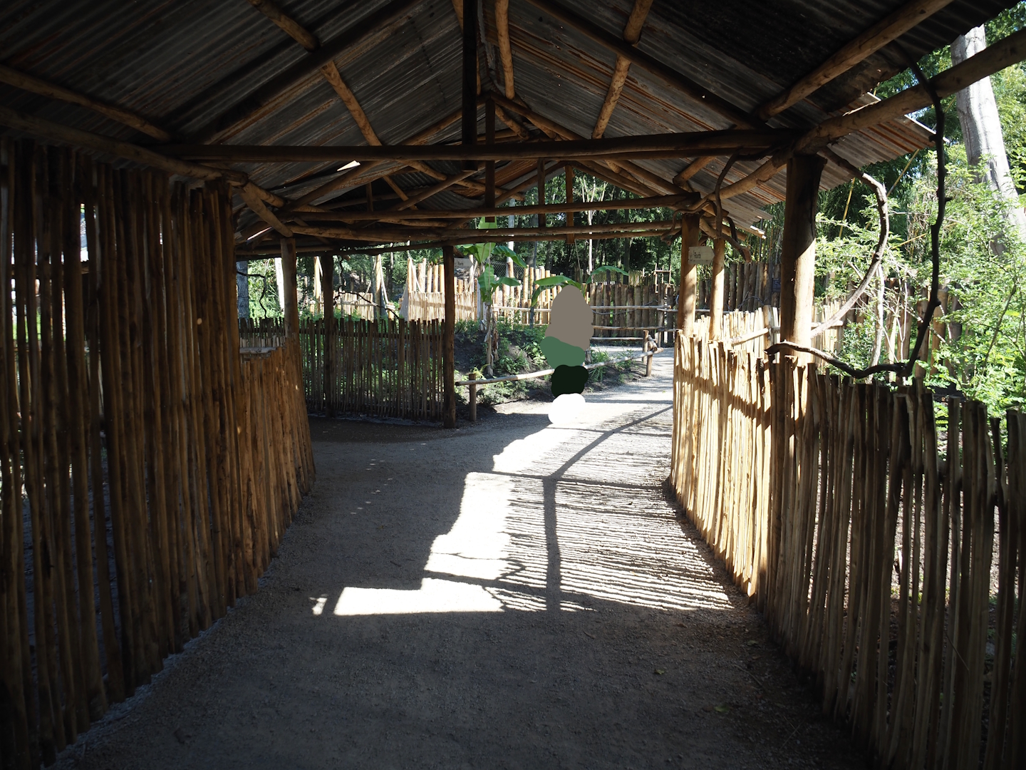 New Central African area Ngyuwe - Covered walkway in front of the pygmy hippo, red river hog and primate greenhouse, 2025-08-03