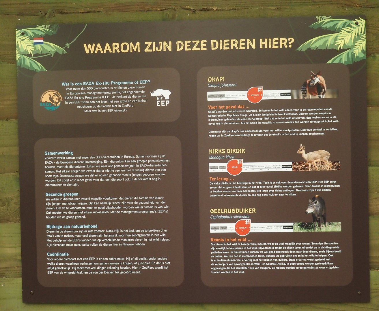 New Central African area Ngyuwe - EEP signage in the Okapi greenhouse, 2025-08-03