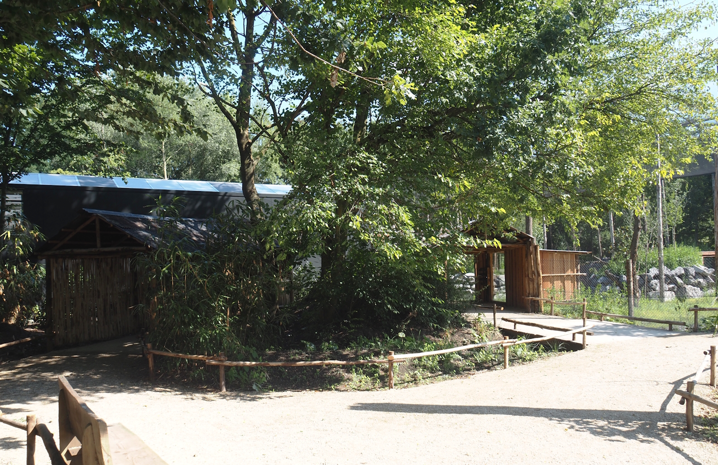 New Central African area Ngyuwe - Entrances to the Okapi and Yellow-backed duiker greenhouse, 2025-08-03