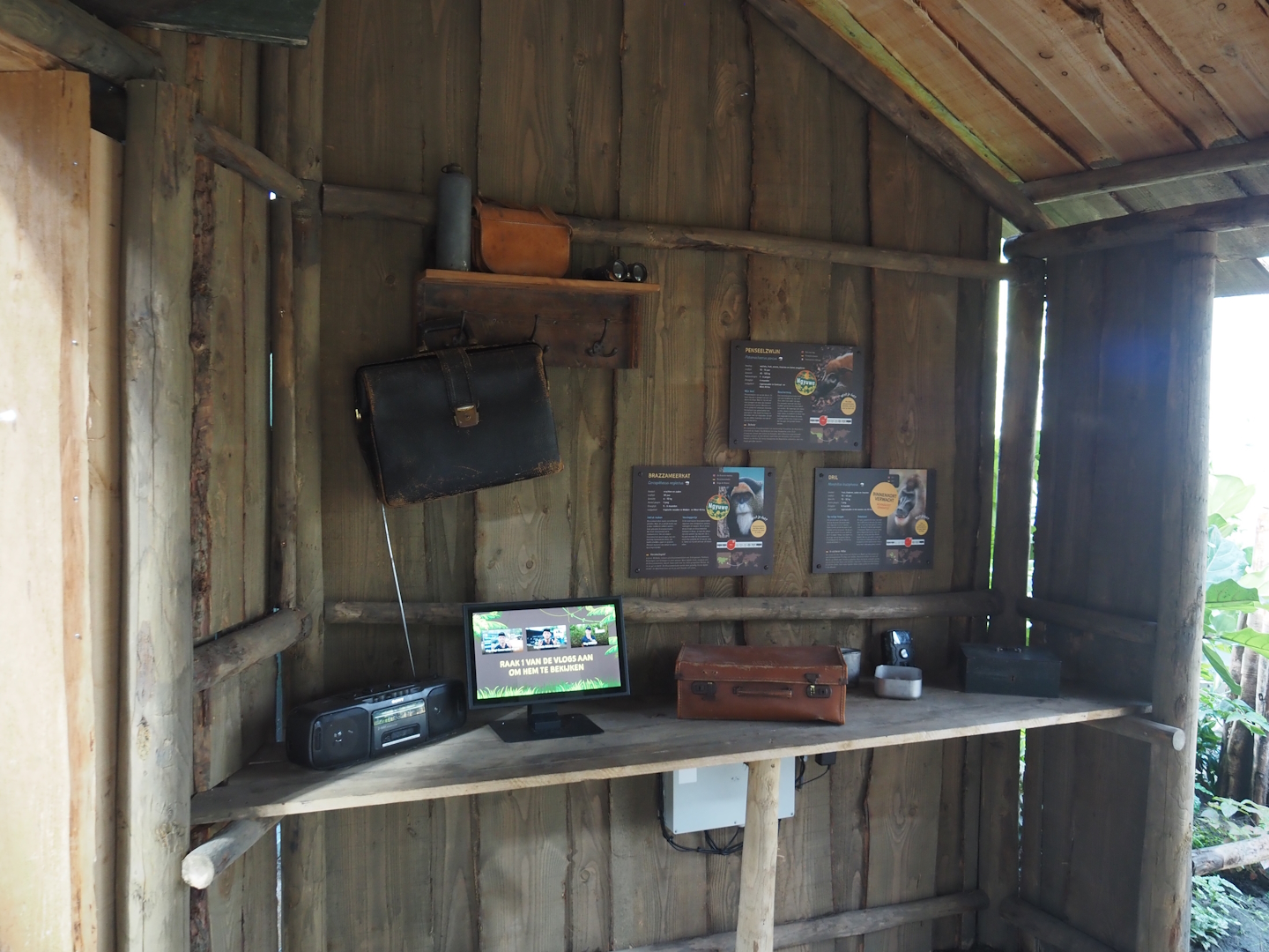 New Central African area Ngyuwe - Field work camp theming in viewing hut for red river hog and primate indoor exhibit, 2025-08-03