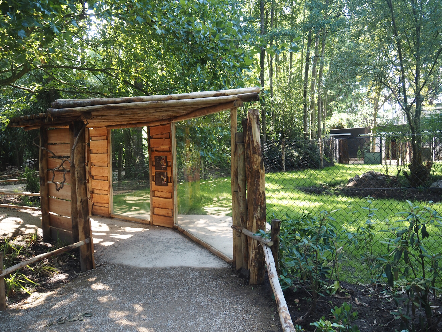 New Central African area Ngyuwe - First Pygmy hippopotamus and Western sitatunga exhibit viewing area, 2025-08-03