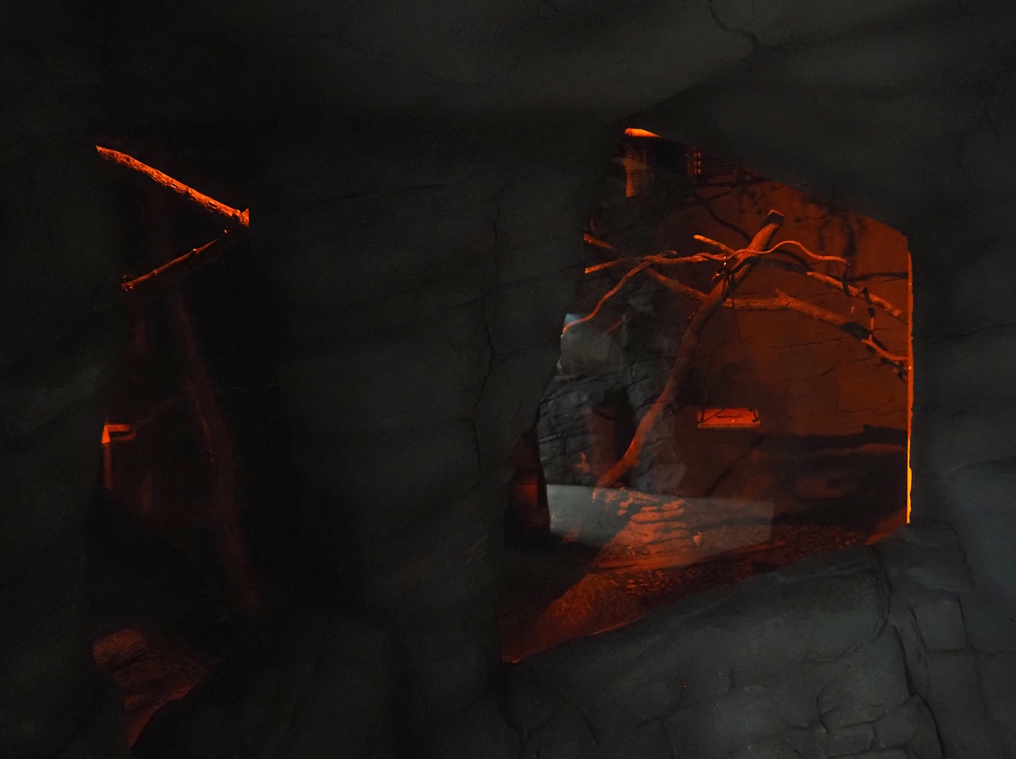 New Central African area Ngyuwe - Nocturnal exhibit for African brush-tailed porcupine and Senegal bushbaby, 2025-08-03