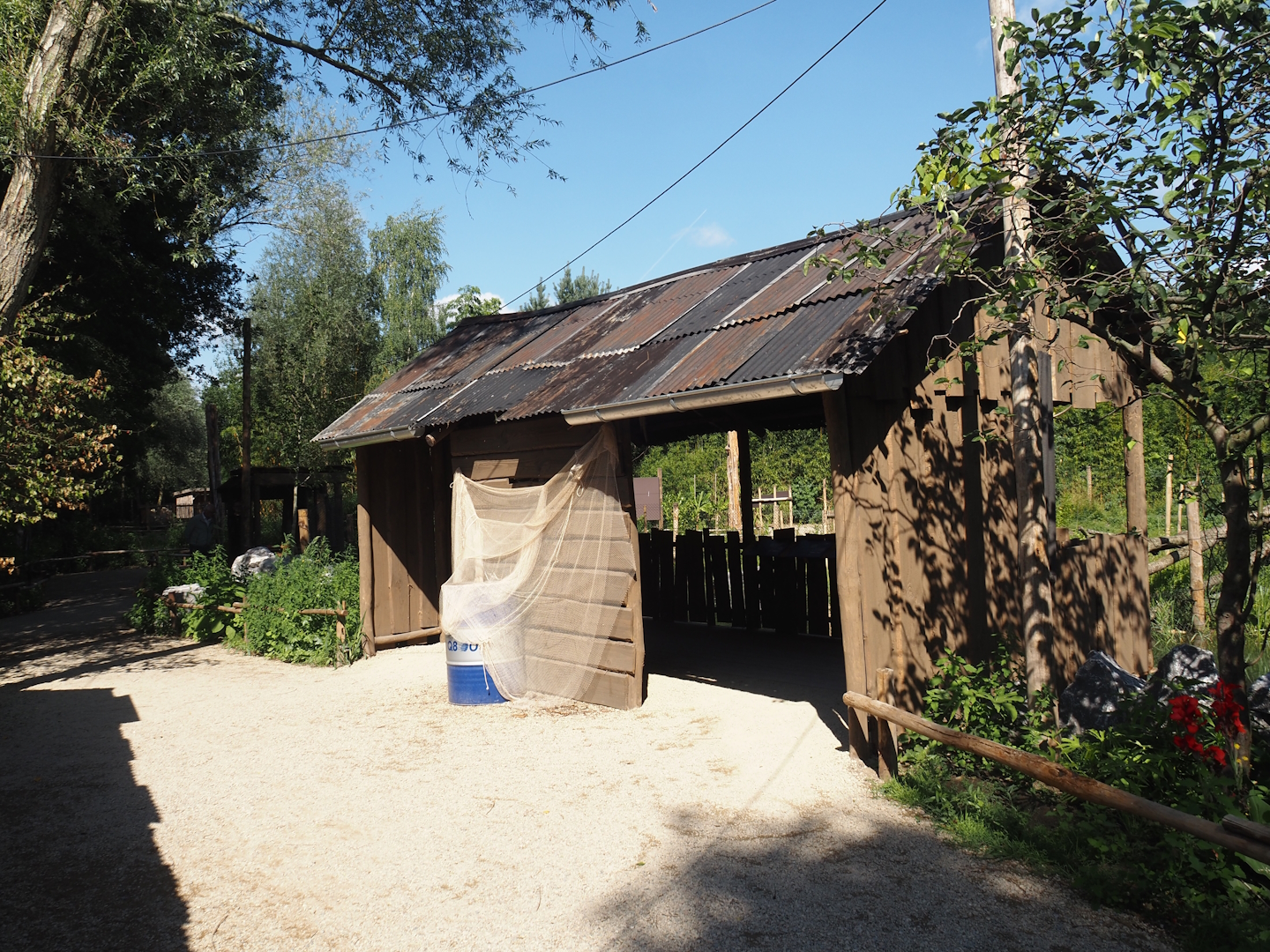 New Central African area Ngyuwe - Okapi paddock viewing area, 2025-08-03