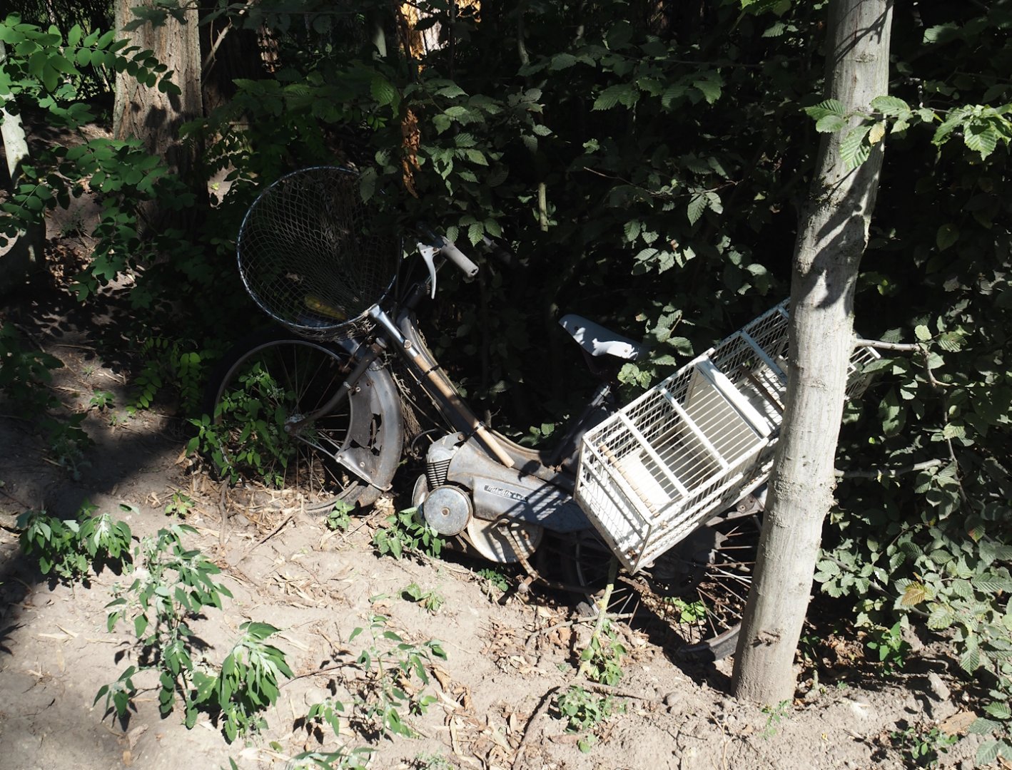 New Central African area Ngyuwe - Poacher's moped theming, 2025-08-03