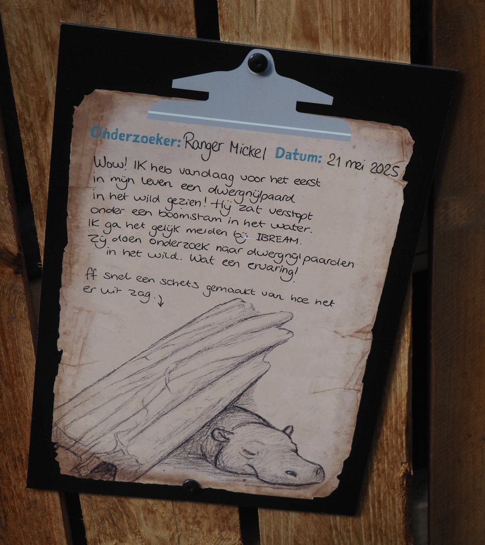 New Central African area Ngyuwe - Ranger notes sign for Pygmy hippopotamus, 2025-08-03