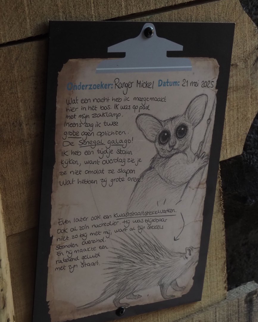 New Central African area Ngyuwe - Ranger notes sign for Senegal bushbaby, 2025-08-03