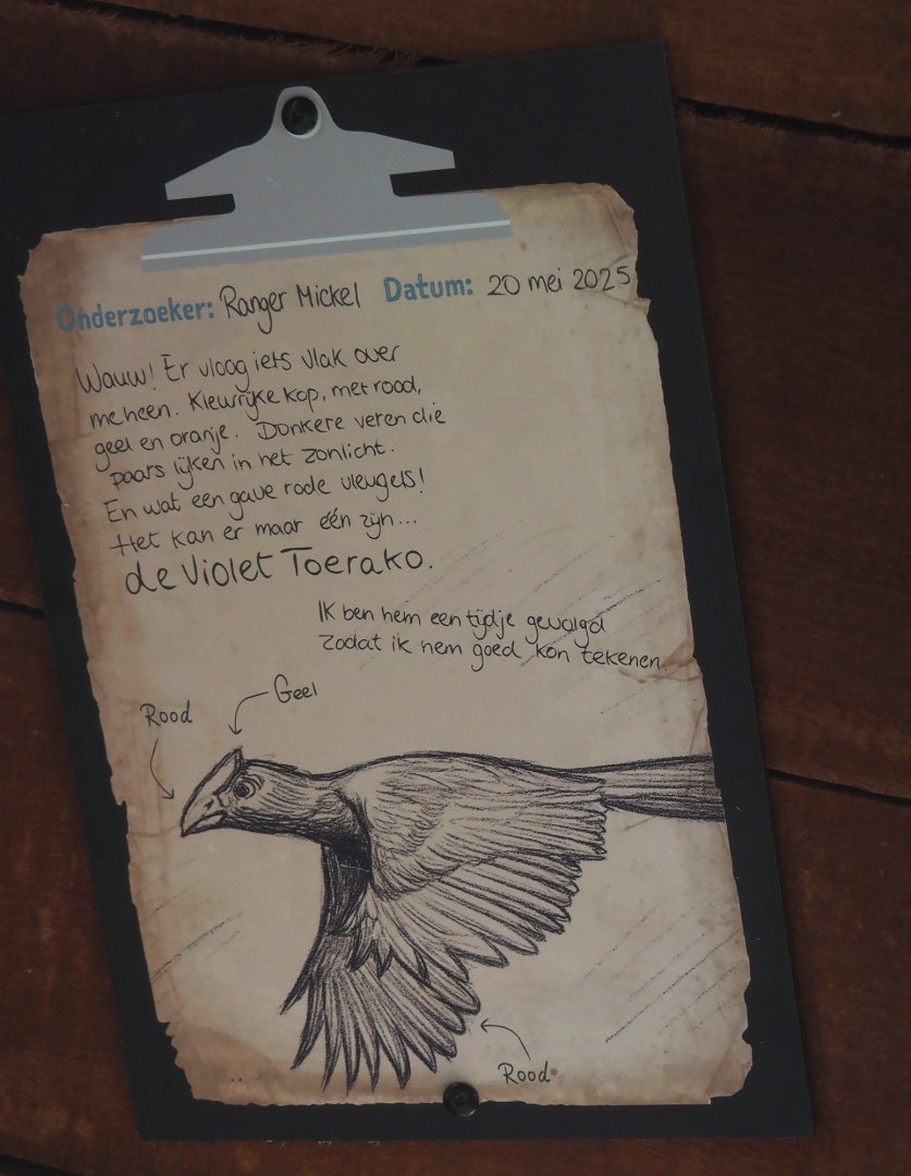 New Central African area Ngyuwe - Ranger notes sign for violet turaco, 2025-08-03