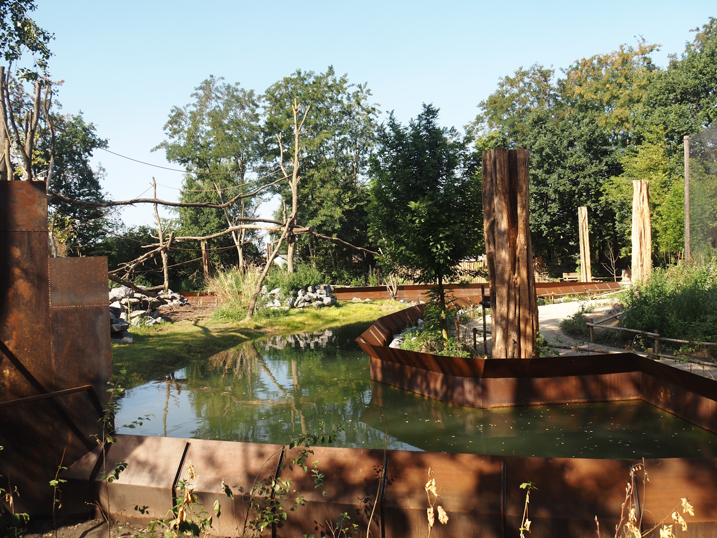 New Central African area Ngyuwe - Red river hog, De Brazza's monkey and Drill exhibit, 2025-08-03