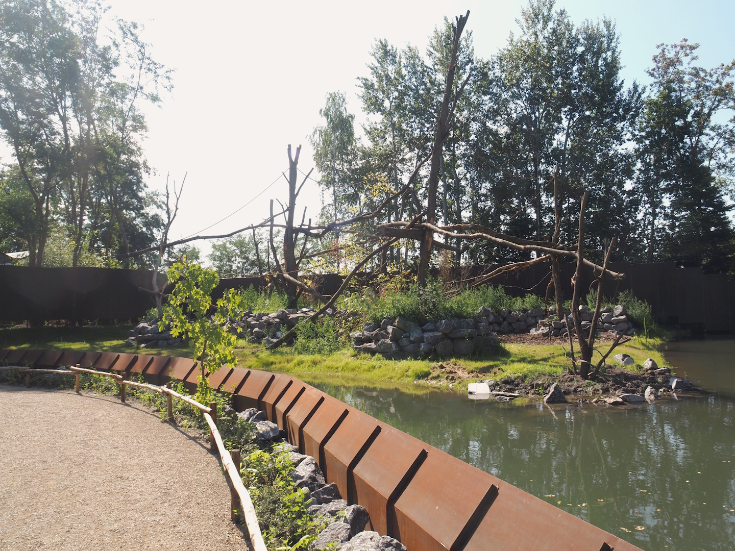 New Central African area Ngyuwe - Red river hog, De Brazza's monkey and Drill exhibit, 2025-08-03