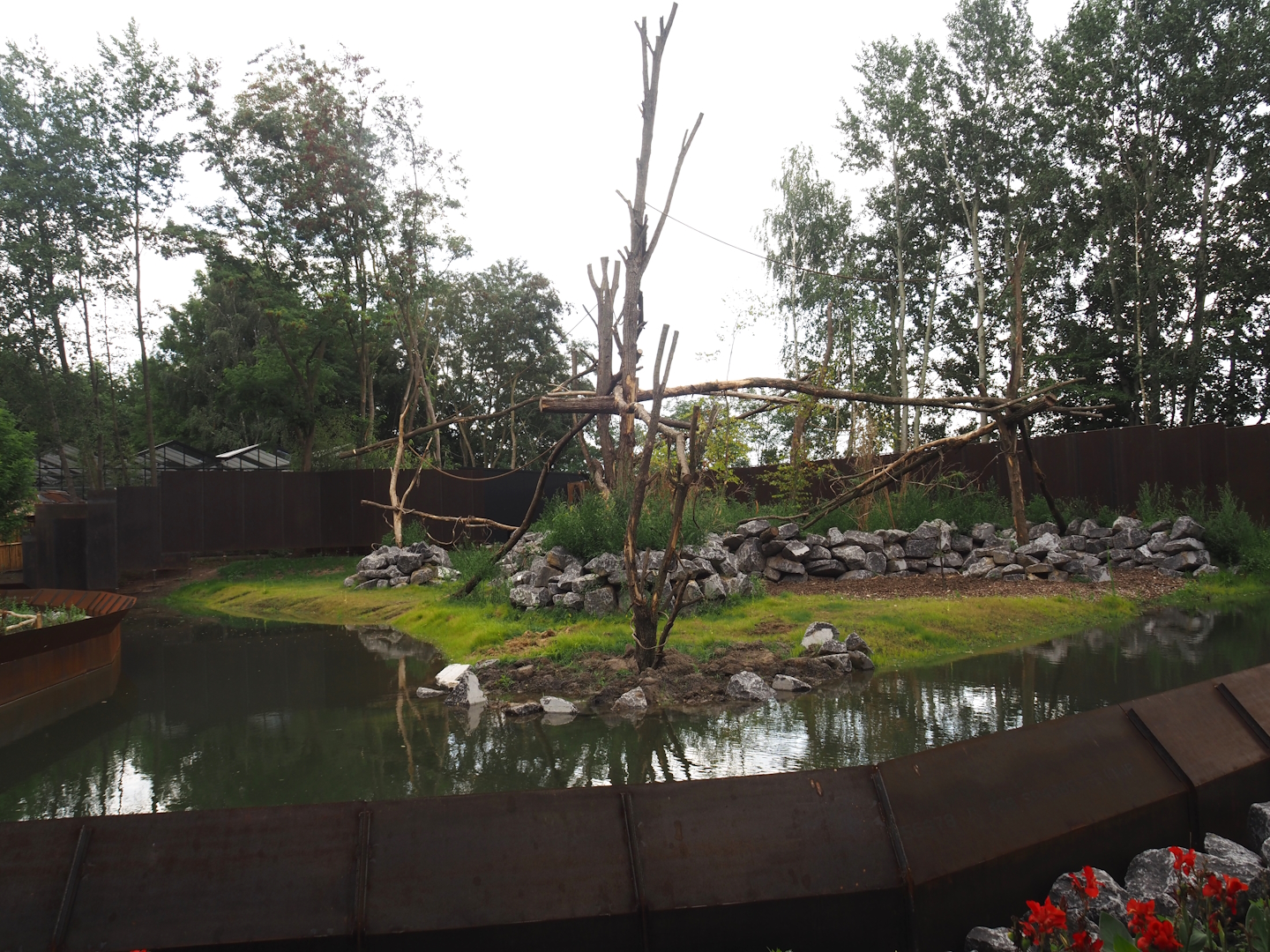 New Central African area Ngyuwe - Red river hog, De Brazza's monkey and Drill exhibit, 2025-08-03