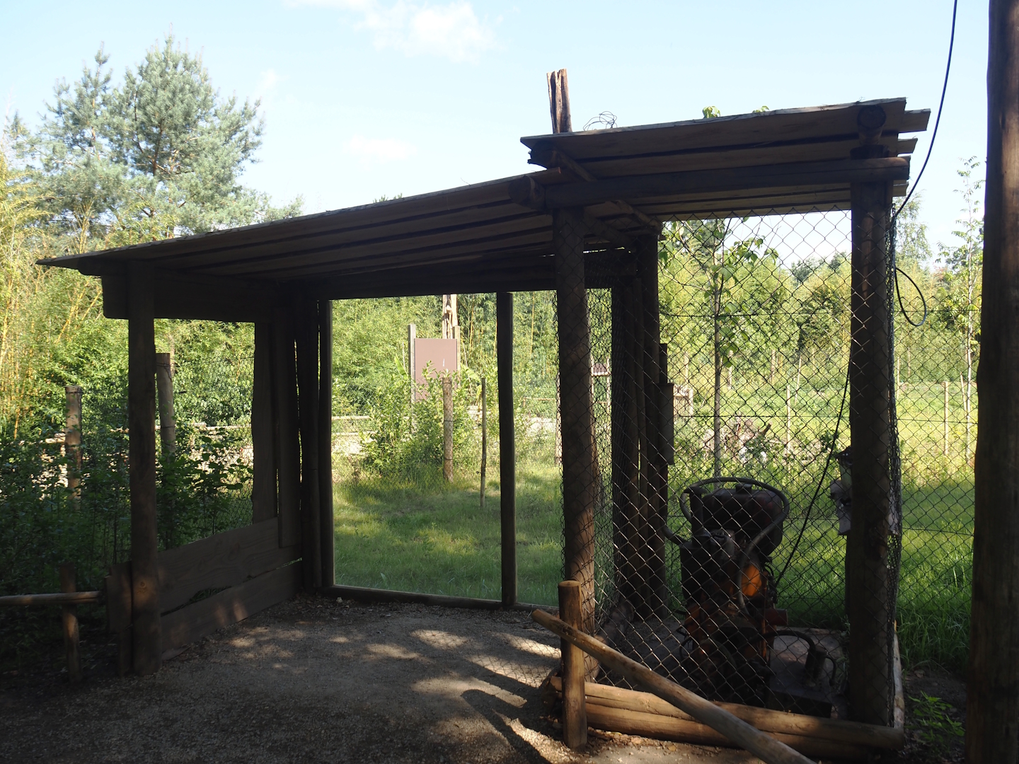 New Central African area Ngyuwe - Second Okapi, Yellow-backed duiker and Kirk's dik-dik paddock viewing hut, 2025-08-03
