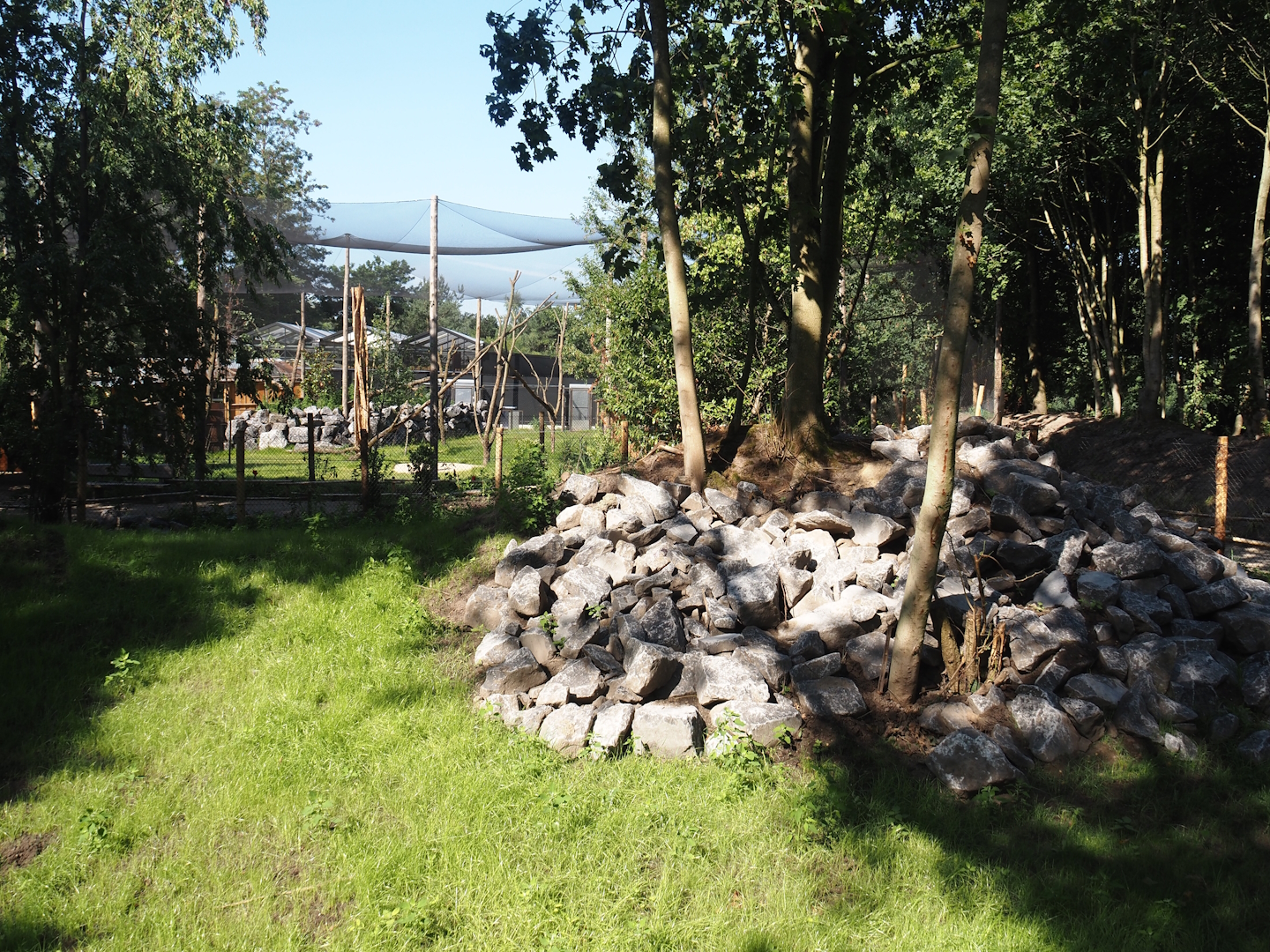 New Central African area Ngyuwe - Second Pygmy hippopotamus and Western sitatunga exhibit, 2025-08-03