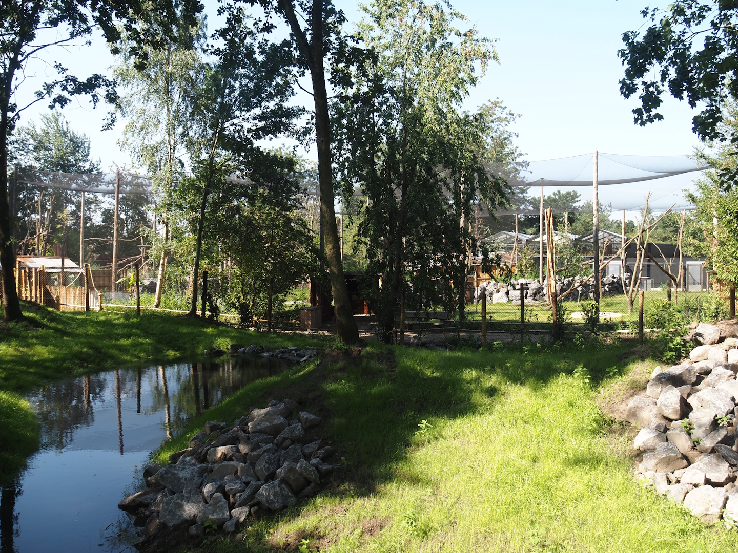 New Central African area Ngyuwe - Second Pygmy hippopotamus and Western sitatunga exhibit, 2025-08-03