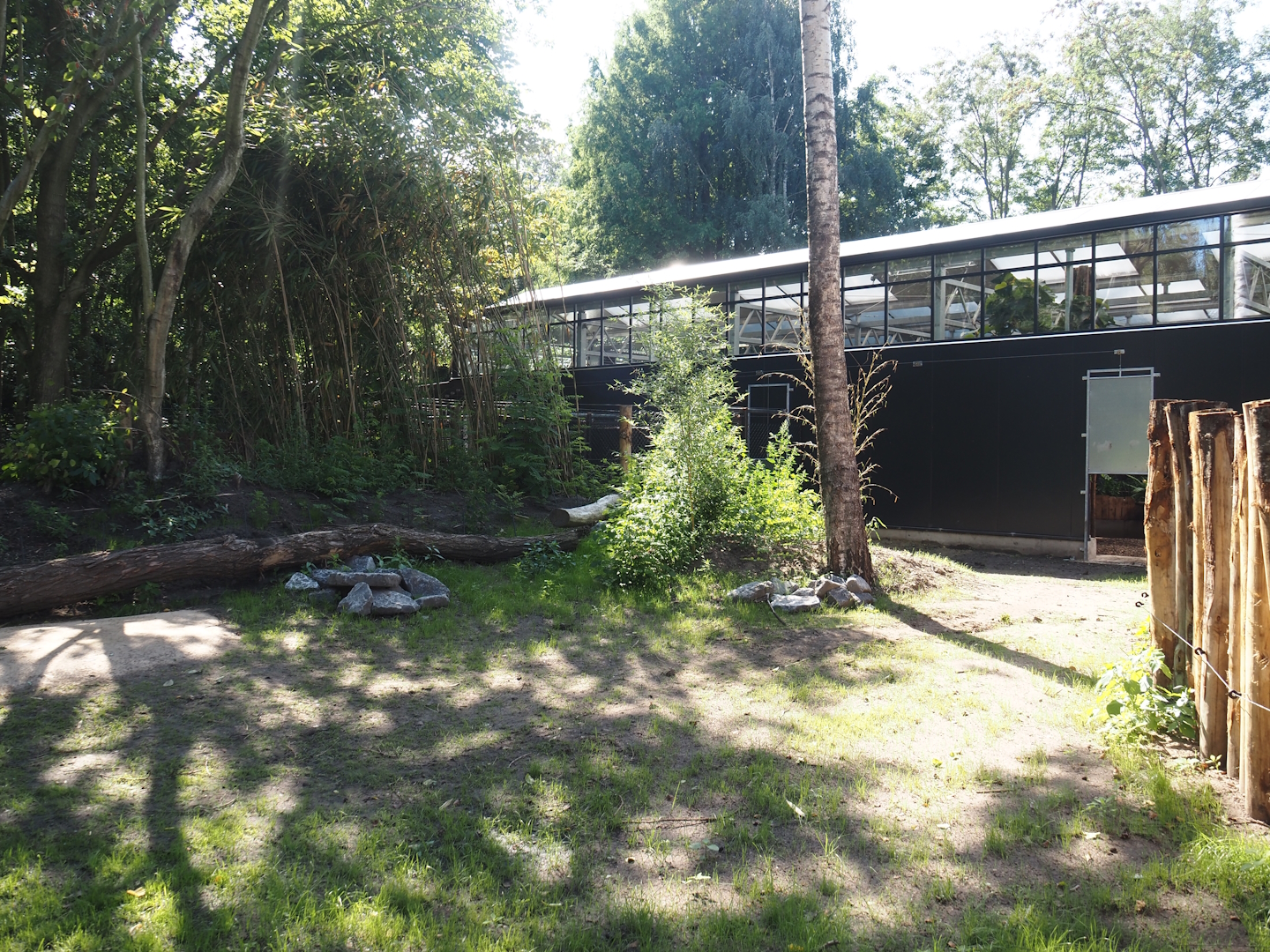 New Central African area Ngyuwe - Separate exhibit for pygmy hippopotamuses, 2025-08-03