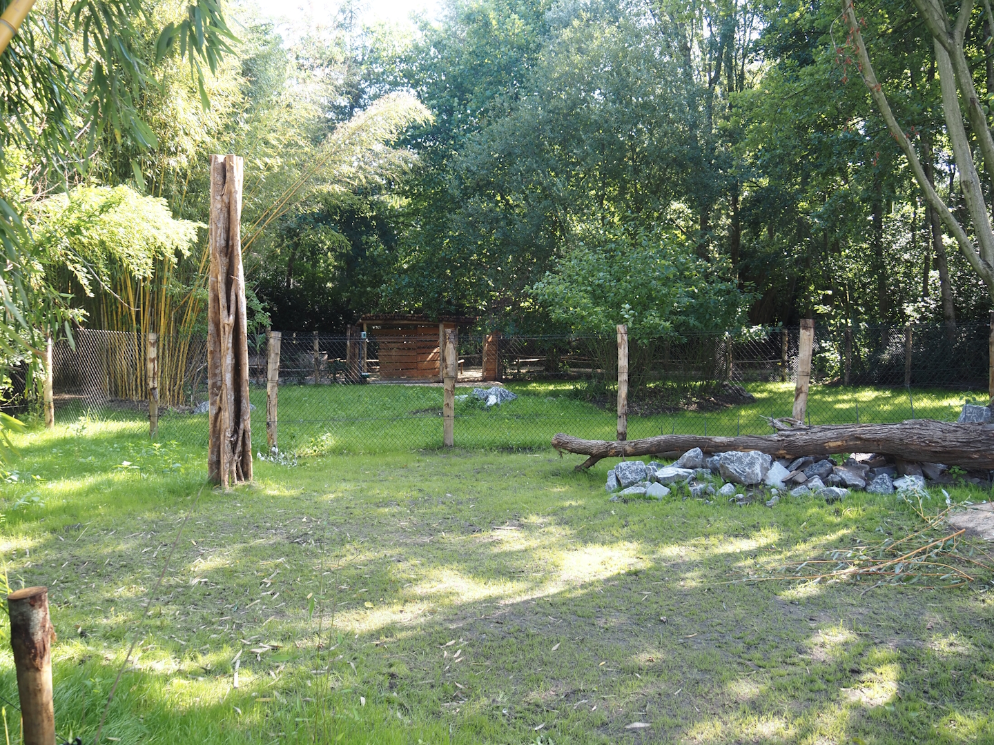 New Central African area Ngyuwe - Separate exhibit for pygmy hippopotamuses, 2025-08-03