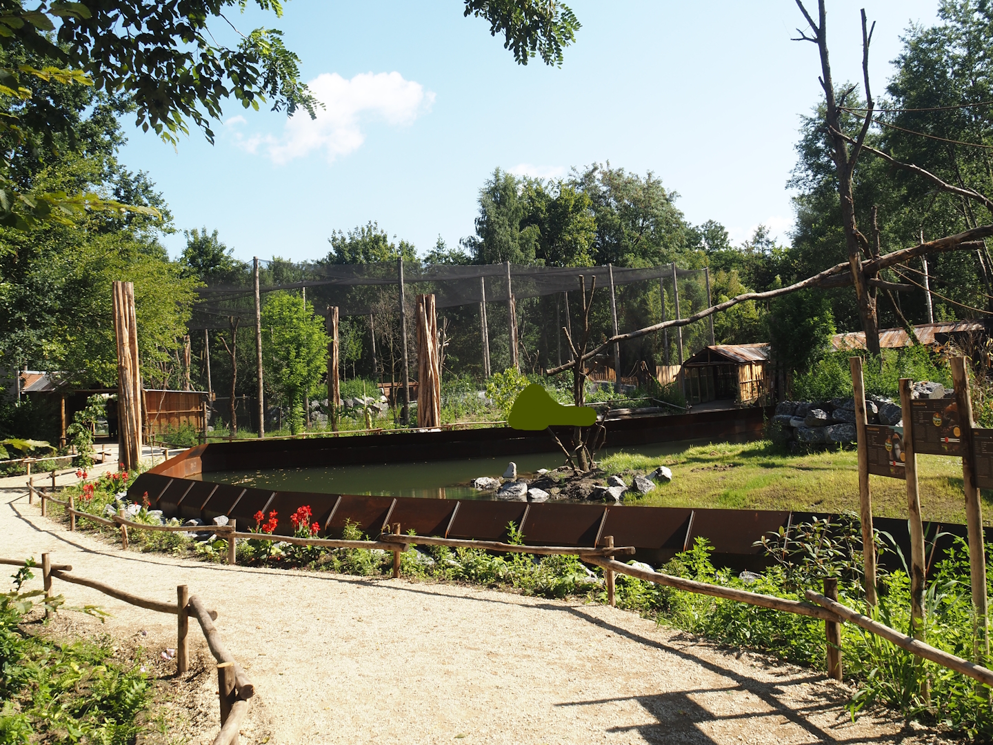 New Central African area Ngyuwe - View of walkways and Red river hog, De Brazza's monkey and Drill exhibit towards aviary, 2025-08-03