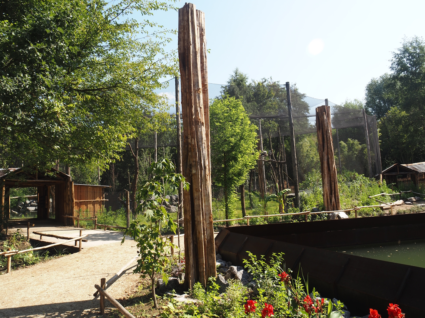 New Central African area Ngyuwe - View of walkways towards aviary, 2025-08-03