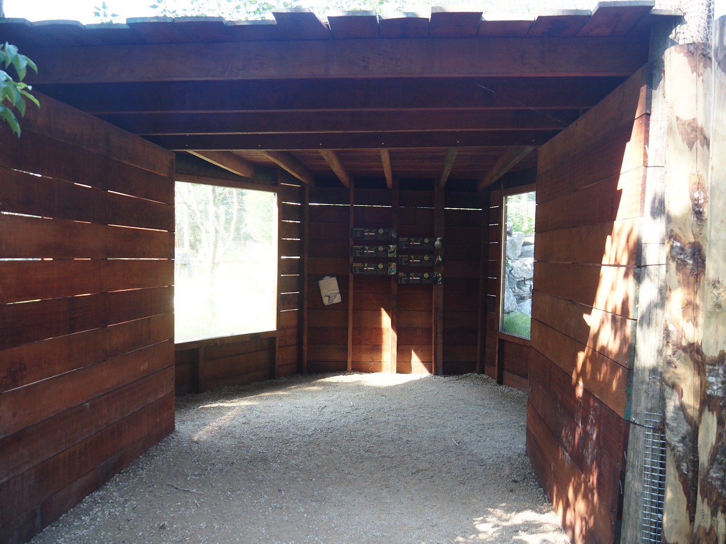 New Central African area Ngyuwe - Viewing area for aviary and Okapi and Yellow-backed duiker paddocks, 2025-08-03