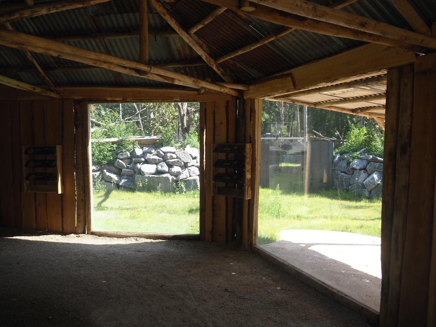 New Central African area Ngyuwe - Viewing area for aviary with second Yellow-backed duiker and Okapi paddock, 2025-08-03