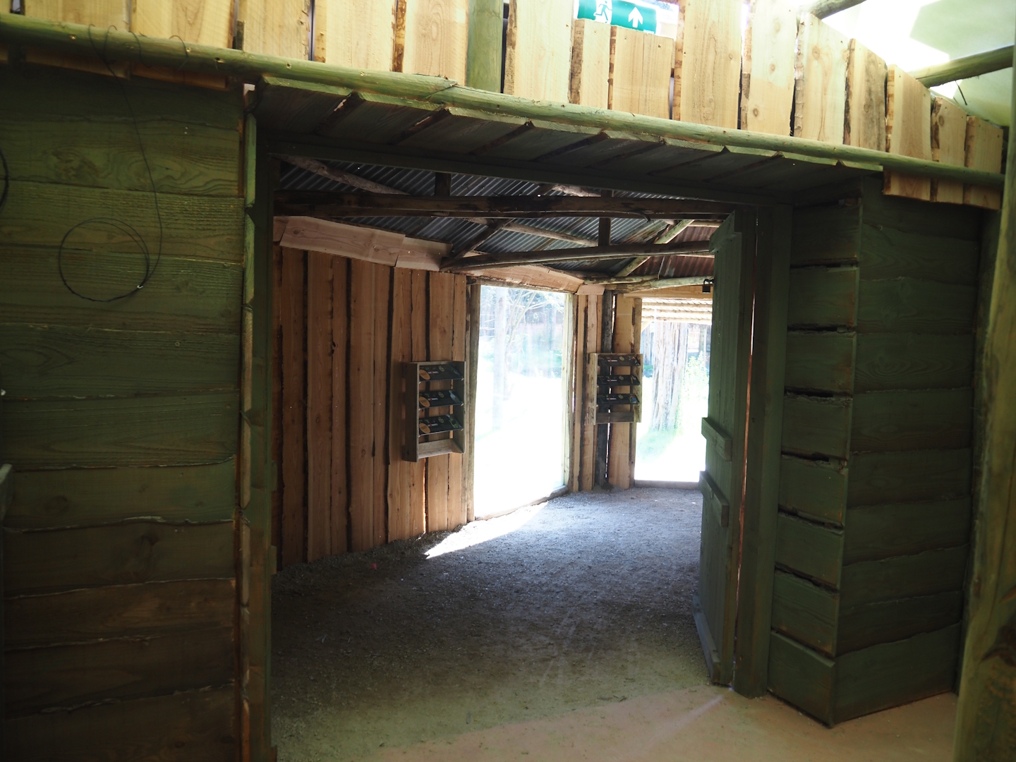 New Central African area Ngyuwe - Viewing area for the aviary with Yellow-backed duiker and Okapi paddocks, 2025-08-03