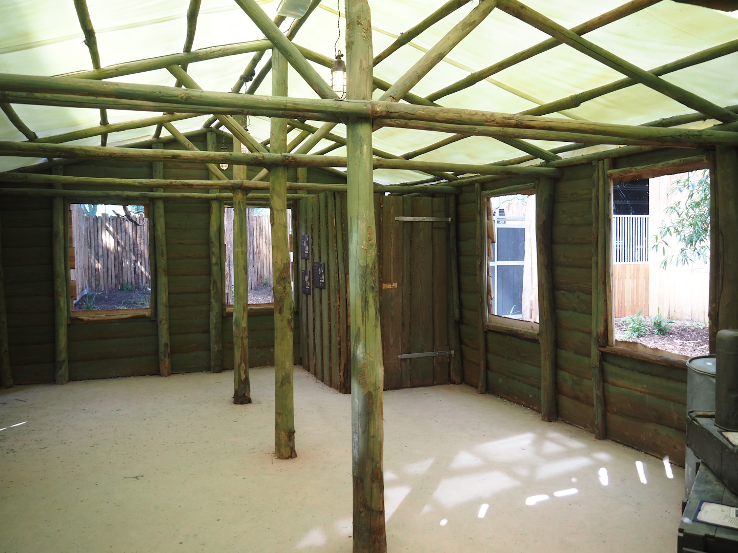 New Central African area Ngyuwe - Visitor area in the Okapi and Yellow-backed duiker greenhouse, 2025-08-03