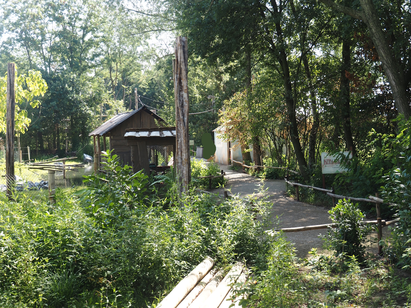 New Central African area Ngyuwe - Walkway and village area with theming buildings next to okapi paddocks, 2025-08-03