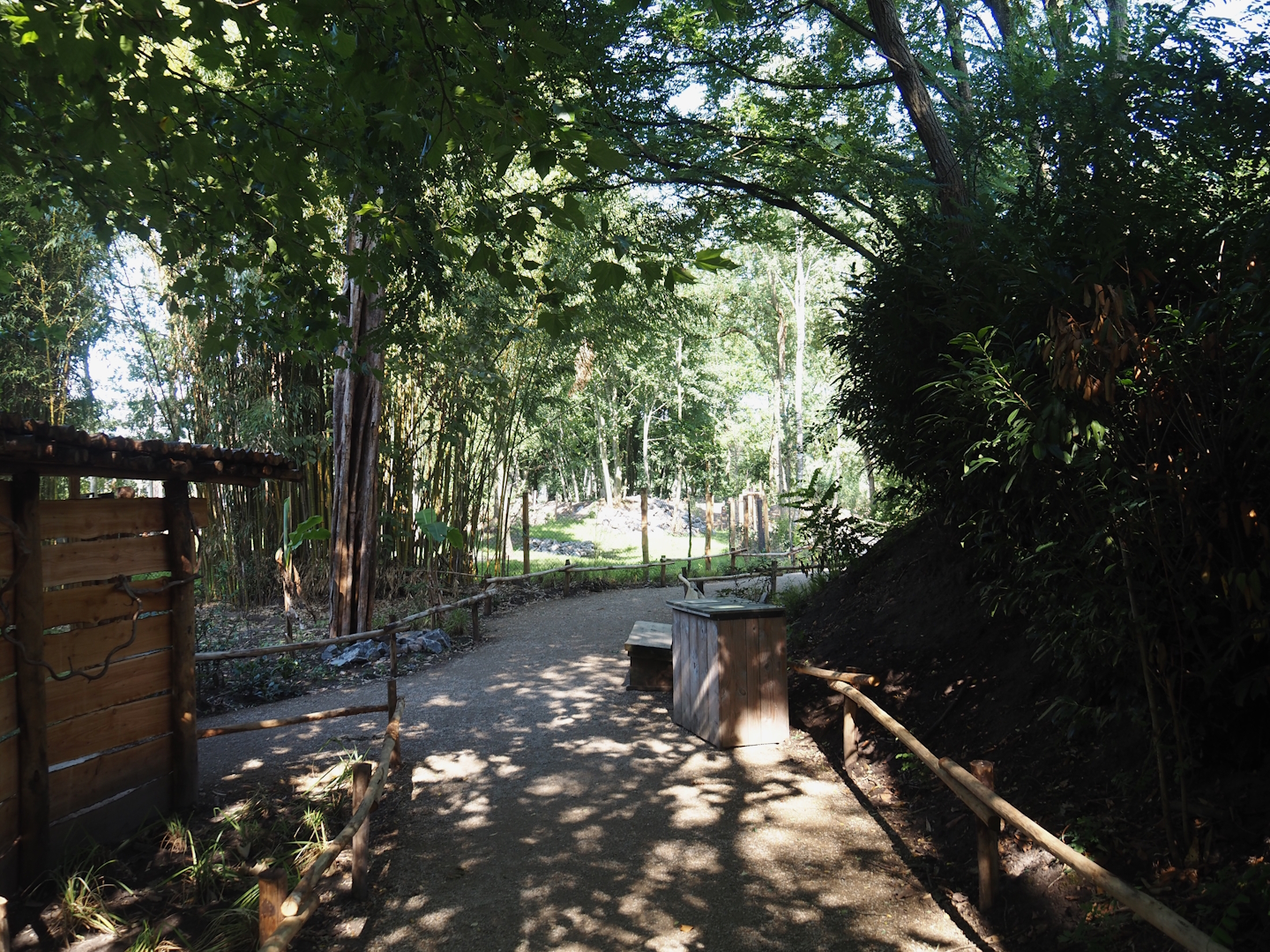 New Central African area Ngyuwe - Walkway next to Pygmy hippopotamus and Western sitatunga exhibits, 2025-08-03