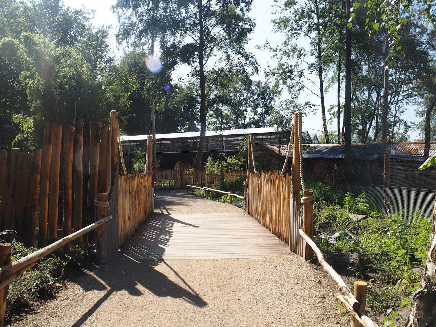 New Central African area Ngyuwe - Walkway towards pygmy hippopotamus greenhouse, 2025-08-03