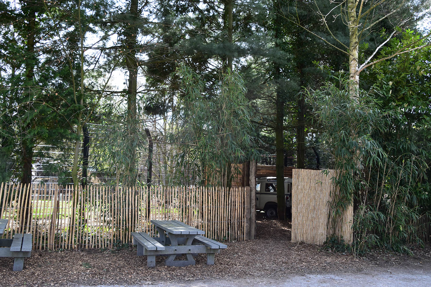 New cheetah enclosure