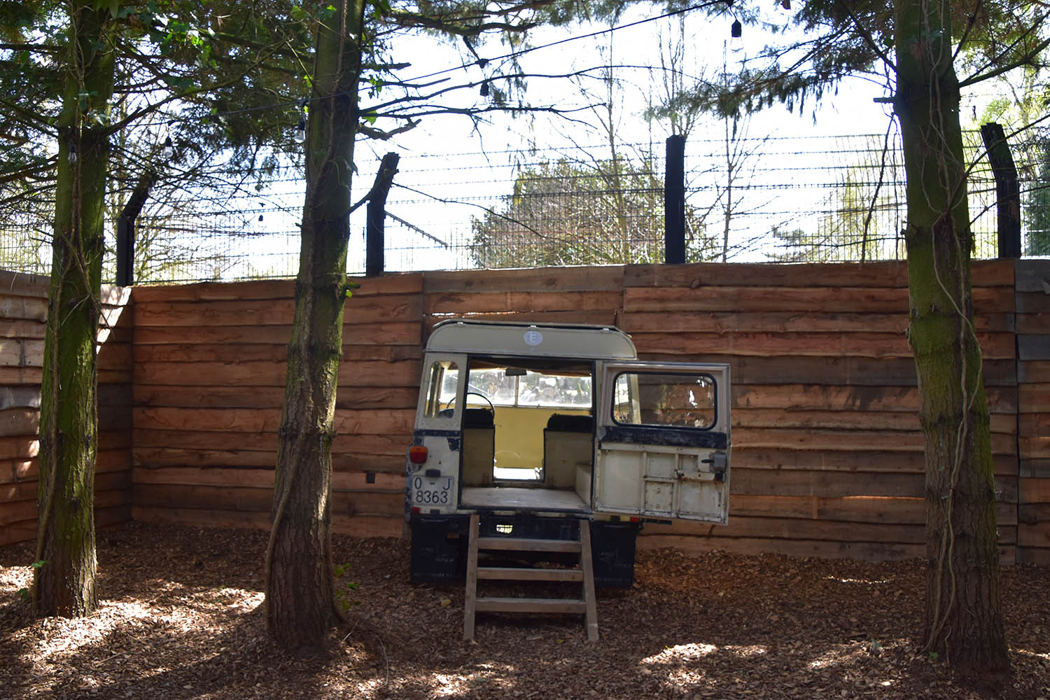 New cheetah enclosure