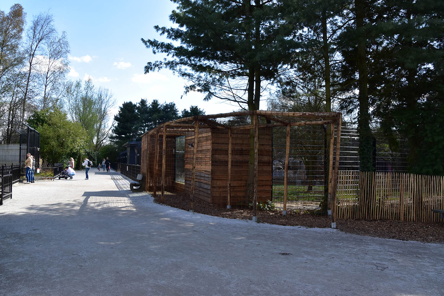 New cheetah enclosure