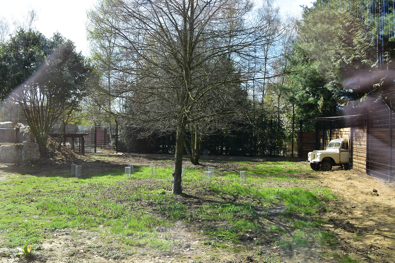 New cheetah enclosure