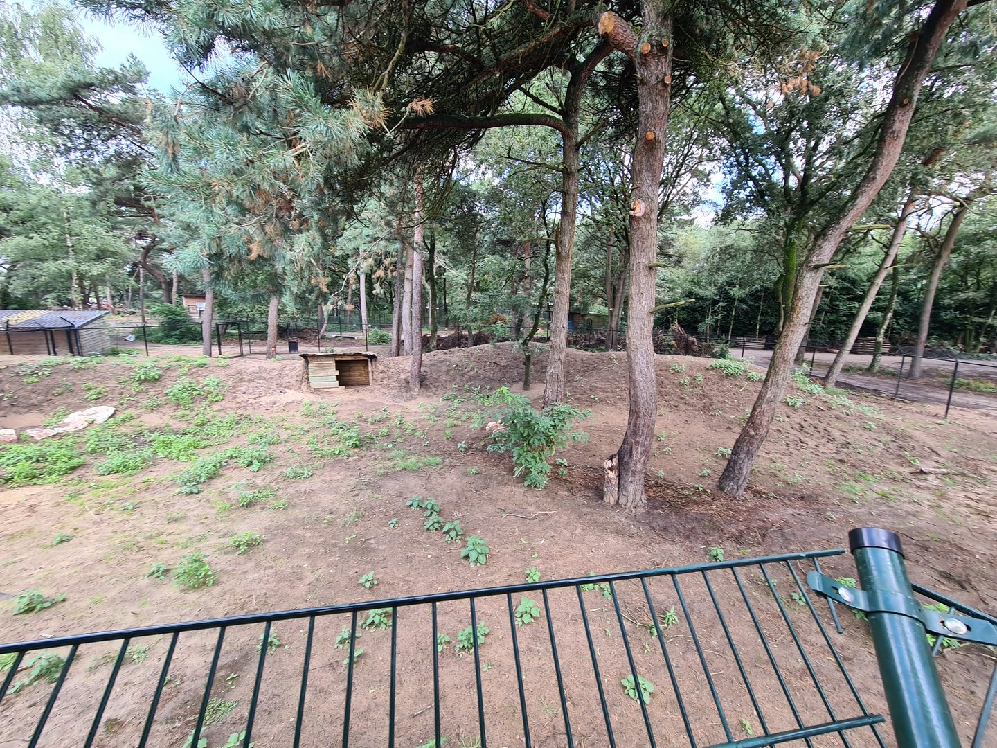 New Cheetah enclosure